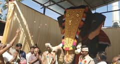 அருப்புக்கோட்டையில் த்ரிஷா அளித்த ஆச்சரியம்! முதல் முறையாக தமிழ்நாட்டில்.. பக்தர்கள் குதூகலம்!