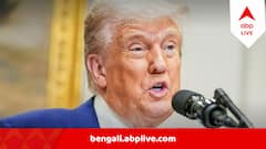 এক হুঁশিয়ারিতেই কাজ হয়! ভারত ও পাকিস্তানকে নিয়ে ফের বড় দাবি ট্রাম্পের, বললেন, ‘আমরা না থাকলে…’