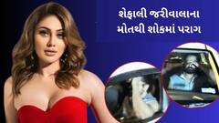 આંખમાં આંસુ,ધ્રુજતા હાથ, શેફાલીના નિધનથી ભાંગી પડ્યા પતિ પરાગ ત્યાગી, હોસ્પિટલ બહારથી પહેલો વીડિયો વાયરલ