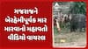 Ahmedabad Video Viral: ગજરાજને બેરહેમીપૂર્વક માર મારવાનો મહાવતો વીડિયો વાયરલ