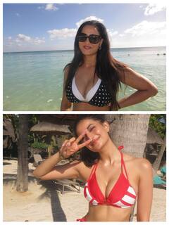 'किसे लाइक करूं, मां को या बेटी को..', श्वेता तिवारी और पलक तिवारी की बिकिनी तस्वीरें देख कंफ्यूज हुए फैंस