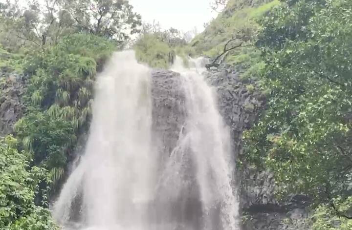 या ठिकाणी एक झाड पडण्याचे कारण देऊन पोलिसांनी धबधबा बंद केला. विकेंड मज्जा करण्यासाठी शेकडो किलोमीटर लांबवरून गाड्या घेऊन येणाऱ्या पर्यटकांनी संताप व्यक्त केला आहे.