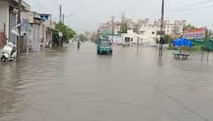 રાજ્યમાં 10 વર્ષમાં જૂનમાં નોંધાયો સૌથી વધુ વરસાદ, સીઝનનો સરેરાશ 31.62 ટકા વરસ્યો વરસાદ