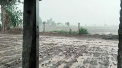 Amreli Rain: સાવરકુંડલા તાલુકામાં ધોધમાર વરસાદ, ખેતરો થયા પાણી પાણી