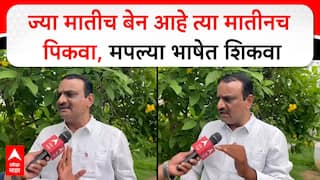 Keshav Khatting On Marathi Poet: ६ वर्षांच्या मुलांला ३ भाषा देण्याचा अट्टहास का ? खटिंग  यांचा सवाल