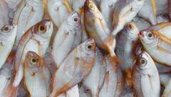 तुरंत बदल लें ये 5 छोटी-छोटी आदतें, दिल की सेहत में होगा सुधार