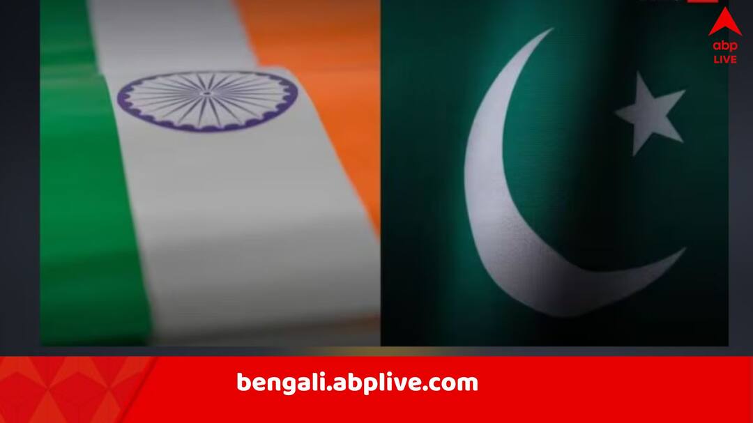 India reacts to Pakistan Blaming New Delhi for attacks on Waziristan Pakistan News: ভারতের মদতে আত্মঘাতী হামলা? ওয়াজিরিস্তান নিয়ে দাবি পাকিস্তানের, মোক্ষম জবাব দিল্লির