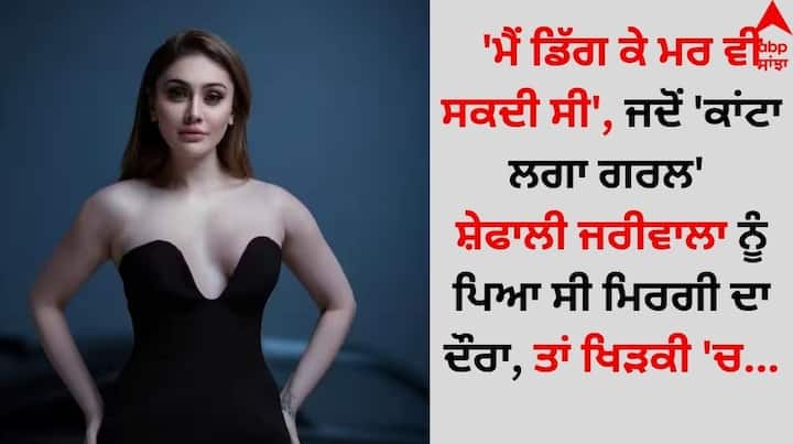 Shefali Jariwala News: 'ਕਾਂਟਾ ਲਗਾ' ਗਰਲ ਸ਼ੇਫਾਲੀ ਜਰੀਵਾਲਾ ਨੇ ਆਪਣੀ ਬਿਮਾਰੀ ਬਾਰੇ ਕਈ ਖੁਲਾਸੇ ਕੀਤੇ ਸਨ। ਜਾਣੋ ਉਨ੍ਹਾਂ ਨੇ ਆਪਣੀ ਬਿਮਾਰੀ ਨਾਲ ਲੜਨ ਅਤੇ ਬੱਚੇ ਨੂੰ ਗੋਦ ਲੈਣ ਦੇ ਆਪਣੇ ਸੁਪਨੇ ਬਾਰੇ ਕੀ ਕਿਹਾ ਸੀ।