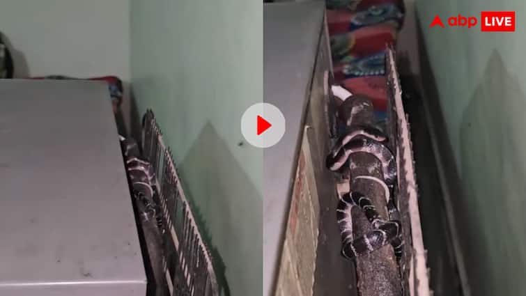 घर में ये डरावनी आवाजें कैसी! परेशान घरवालों ने फ्रिज हटाकर देखा तो उड़े होश, देखें वीडियो घर में ये डरावनी आवाजें कैसी! परेशान घरवालों ने फ्रिज हटाकर देखा तो उड़े होश, देखें वीडियो