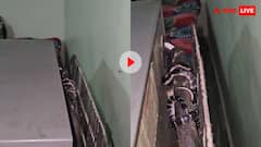 घर में ये डरावनी आवाजें कैसी! परेशान घरवालों ने फ्रिज हटाकर देखा तो उड़े होश, दिल दहला देगा वीडियो