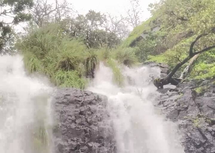 मुख्य धबधब्याच्या परिसरात मोठ्या प्रमाणात वाहतूक कोंडी झाली. गाड्यांच्या रांगा लागल्यामुळे स्थानिक वाहतुकीवरही परिणाम झाला.