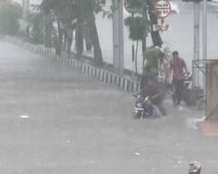 Gujarat Rain Forecast: આગામી 3 કલાક રાજ્યના 8 જિલ્લા માટે ભારે; અતિભારે વરસાદની આગાહી, જાણો લેટેસ્ટ અપડેટ