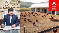 நாட்டுக்கோழி வளர்ப்புக்கு 50% மானியம்! சுயதொழில் மூலம் வாழ்வில் உயர ஒரு பொன்னான வாய்ப்பு!