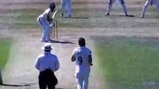 क्लीन बोल्ड! 42 साल का बूढ़ा शेर, भारत-इंग्लैंड सीरीज के बीच उगल रहा आग; वीडियो वायरल