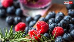 जामुन खाने के बाद नहीं खानी चाहिए ये चीजें, शरीर में जाते ही बनाने लगती हैं जहर