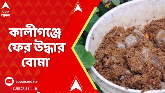 কালীগঞ্জকাণ্ডে মূল অভিযুক্তর বাড়ির পিছন থেকে উদ্ধার সকেট বোমা