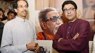 साहेब एवढ्यावर थांबू नका दोघेही एकत्र या, मराठी माणसाची एकजूट अख्ख्या देशाला दिसू दे, मोर्चा नाही तरी विजयी मेळावा व्हायलाच हवा; ठाकरे बंधूंना 'मनसे' साद!