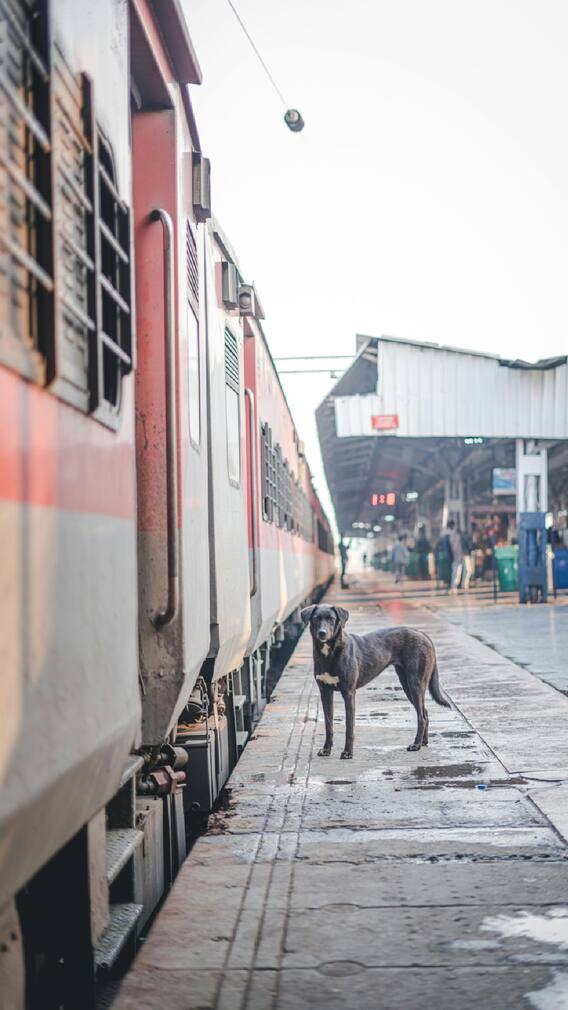 सावधान! 1 जुलैपासून हे 10 नियम बदलणार तुमचं आर्थिक गणित