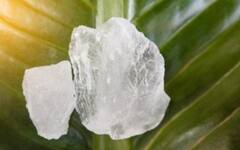 बरसात में स्किन इरिटेशन से हैं परेशान? नहाने के पानी में मिलाएं ये 6 आसान चीजें