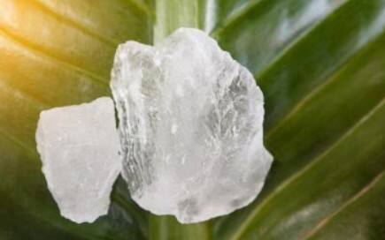 फिटकरी: फिटकरी स्किन की गंदगी को साफ करती है और बैक्टीरिया को खत्म करती है. एक चुटकी फिटकरी पाउडर नहाने के पानी में मिलाने से पसीने की बदबू और खुजली दोनों से राहत मिलती है.