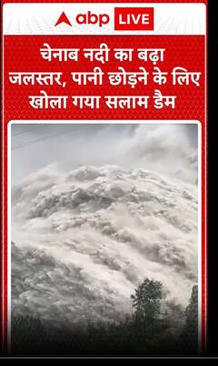 Weather News: चेनाब नदी का बढ़ा जलस्तर, पानी छोड़ने के लिए खोला गया सलाम डैम