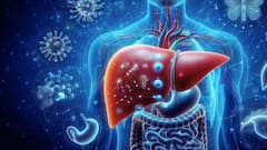 Liver Damage Symptoms: বিপদের মুখে লিভার, ড্যামেজ হওয়ার আগে কোনও লক্ষণ প্রকাশ পায় কি ?