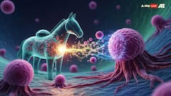 World's First 'Trojan Horse' Drug Could Cure Blood Cancer. Know All About It