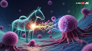 World's First 'Trojan Horse' Drug Could Cure Blood Cancer. Know All About It