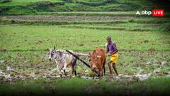 PM Kisan Yojana 20th Installment: PM કિસાન યોજનાના 20મા હપ્તાને લઇને સમાચાર, આ ખેડૂતોને નહી મળે લાભ