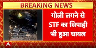 UP News: ₹1 Lakh Rewarded Criminal Gunned Down in Encounter with Noida STF & Baghpat Police