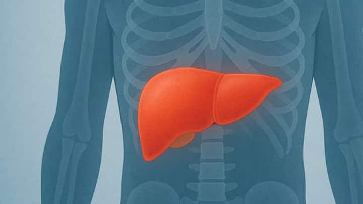 জয়পুরের নারায়ণ মাল্টিস্পেশালিটি হাসপাতালের গ্যাস্ট্রোএন্টেরোলজিস্ট চিকিৎক প্রবীণ গুপ্ত জানিয়েছেন, লিভার রোগের ক্ষতির প্রাথমিক লক্ষণ হল একটানা ক্লান্তি এবং দুর্বলতা।