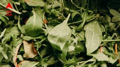 একবাটি পালংশাকেই ভাল থাকবে হার্ট, বয়স্ক মহিলারা অবশ্যই খান ব্রকোলি