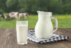 ਜਾਮਣ ਨਾਲ ਭੁੱਲ ਕੇ ਵੀ ਨਾ ਖਾਓ ਆਹ ਚੀਜ਼ਾਂ, ਸਰੀਰ 'ਚ ਬਣ ਜਾਵੇਗਾ ਜ਼ਹਿਰ