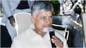 CM Chandrababu: 15 మంది ఎమ్మెల్యే లకు చంద్రబాబు వార్నింగ్, ఇలాగైతే సీటు గల్లంతే అంటూ అసహనం