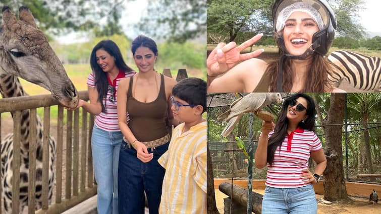 पलक तिवारी ने चिड़ियाघर में की खूब मस्ती, कहा- 'मुझे जू में पैदा होना चाहिए था'