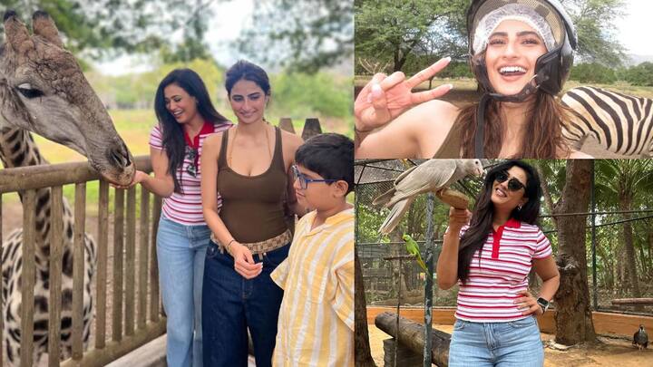 Palak Tiwari Pics:  पलक तिवारी इन दिनों अपनी मां श्वेता तिवारी और भाई रेयांश के साथ छुट्टियां मनाने मॉरिशियस में हैं. हाल ही में उन्होंने मॉरिशस के चिड़ियाघर से खूबसूरत तस्वीरें शेयर की हैं.