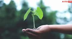 ਧਰਤੀ 'ਤੇ ਆਕਸੀਜਨ ਡਬਲ ਹੋ ਗਈ ਤਾਂ ਕੀ ਹੋਵੇਗਾ? ਕੀ ਸੁਪਰਮੈਨ ਬਣ ਜਾਣਗੇ ਮਨੁੱਖ, ਜਾਣੋ ਕੀ ਹੈ ਸੱਚਾਈ