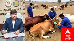 மயிலாடுதுறை: கால்நடைகளுக்கு இலவச கோமாரி நோய் தடுப்பூசி முகாம்! கால்நடை வளர்ப்போருக்கு ஒரு பொன்னான வாய்ப்பு!