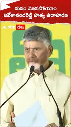 CM Chandrababu about YS Vivekananda Murder Case