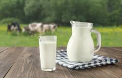 जामुन खाने के बाद नहीं खानी चाहिए ये चीजें, शरीर में जाते ही बनाने लगती हैं जहर