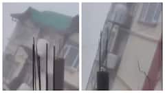 Five-Storey Building Collapses In Seconds After Rains Lash Shimla: WATCH