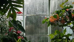 Monsoon Makeovers — How To Refresh Your Home Décor For The Rainy Season