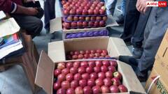 हिमाचल में सेब के सीजन की शुरुआत, मंडियों में आया टाइडमैन-रेड जून, मिल रहे अच्छे दाम