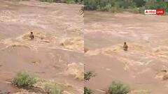 Watch: बीच नदी में अकेल फंस गया युवक, देखते ही देखते बह गया, खतरनाक वीडियो वायरल
