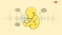 Neonatal Jaundice and Speech Delays: Experts Weigh In After Ibrahim Ali Khan’s Revelation