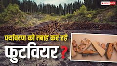 पुराने होने के बाद अपने जूतों का क्या करते हैं आप, जानिए कैसे पर्यावरण की तबाही का कारण बन रहे फुटवियर?