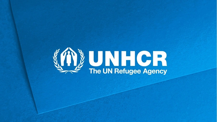 Mali Passes Landmark Law to Protect Stateless Persons, UNHCR Welcomes Move