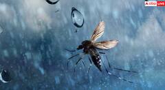 ਘਰ ‘ਚ ਗਲਤੀ ਨਾਲ ਵੀ ਨਹੀਂ ਵੜਨਗੇ ਕੀੜੇ, ਇਸ ਹੋਮ ਸਪਰੇਅ ਨਾਲ ਮਿਲੇਗੀ ਛੁੱਟੀ