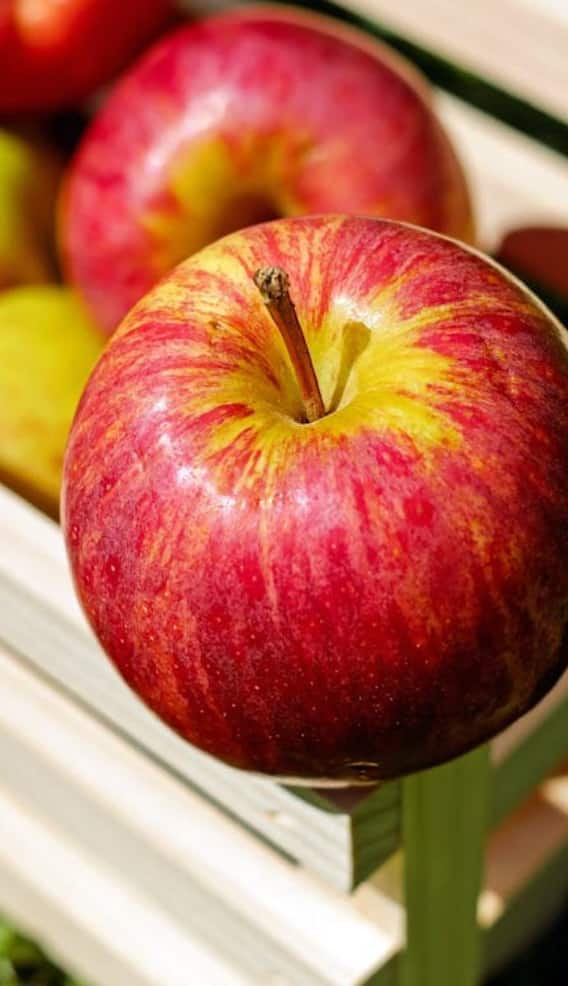 ஆப்பிள் சாப்பிட்டால் எடை கூடுமா.? பக்க விளைவுகள் உண்டா.? தெரிந்து கொள்ளுங்கள்