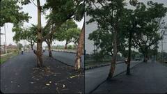 Bihar Road: நட்ட நடுரோட்ல குத்தவெச்ச மரங்கள்.. எப்புட்றா வண்டி ஓட்றது? பாலத்திற்கே சவால் விடுக்கும் சாலை